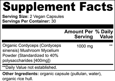 JisuShroom - Cordyceps Mushroom