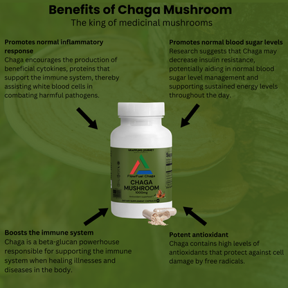 FlowFuel - Chaga Mushroom