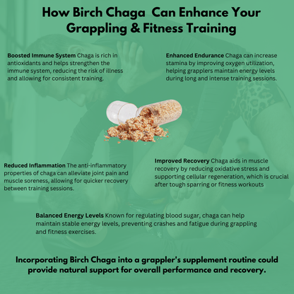 Birch Chaga Benefits for BJJ